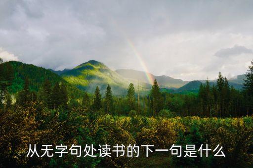從無字句處讀書，從無字句處讀書的下一句是什么