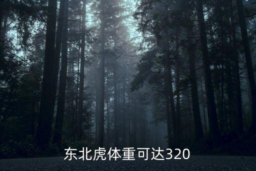 東北虎體重，東北虎多重