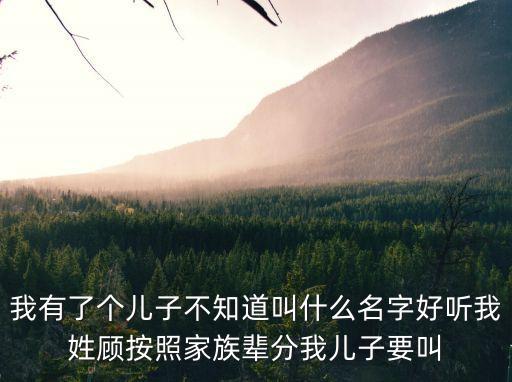 我有了個兒子不知道叫什么名字好聽我姓顧按照家族輩分我兒子要叫