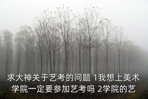 求大神關于藝考的問題 1我想上美術學院一定要參加藝考嗎 2學院的藝