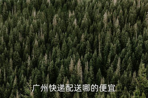 廣州快遞配送哪的便宜