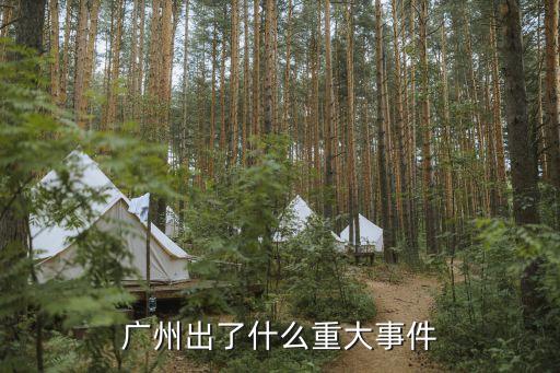 廣州今年發生什么事，廣州出了什么重大事件