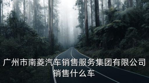 廣州市南菱汽車銷售服務集團有限公司銷售什么車