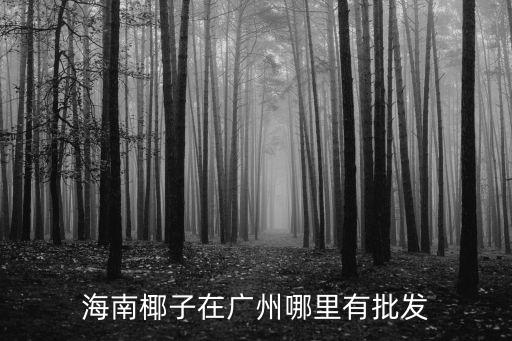 海南椰子在廣州哪里有批發