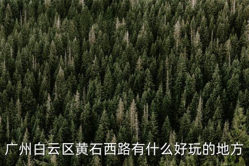 廣州黃石西，廣州白云區黃石西路有什么好玩的地方