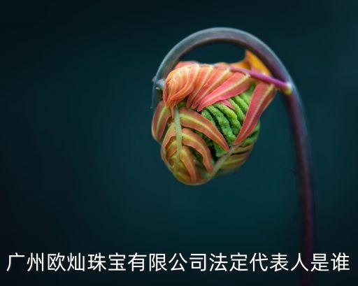 廣州梅先清，廣州歐燦珠寶有限公司法定代表人是誰
