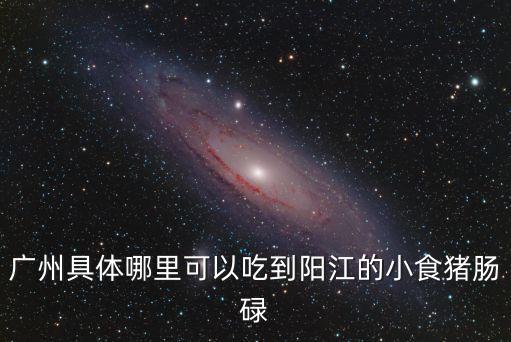 廣州具體哪里可以吃到陽江的小食豬腸碌