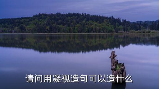 請問用凝視造句可以造什么