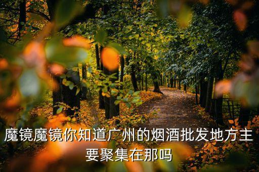 魔鏡魔鏡你知道廣州的煙酒批發地方主要聚集在那嗎