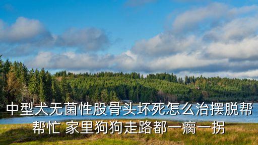 廣州 狗髖關(guān)節(jié)置換，髖關(guān)節(jié)置換需要多少錢