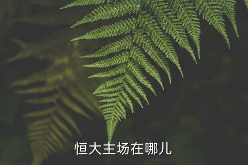 廣州恒大最新足球場圖，恒大主場在哪兒
