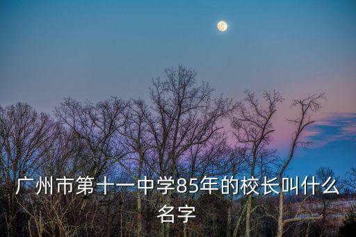廣州市第十一中學(xué)85年的校長(zhǎng)叫什么名字