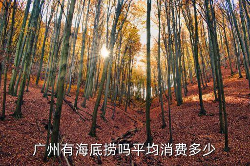 廣州蘿崗有沒有海底撈，廣州有沒有海底撈火鍋啊
