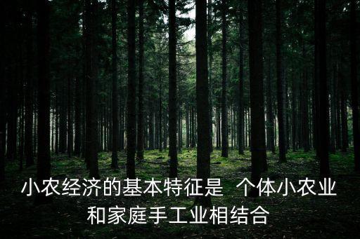 小農(nóng)經(jīng)濟(jì)的特點，小農(nóng)經(jīng)濟(jì)生活方式的特點