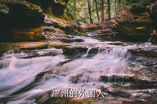 廣州的外國人