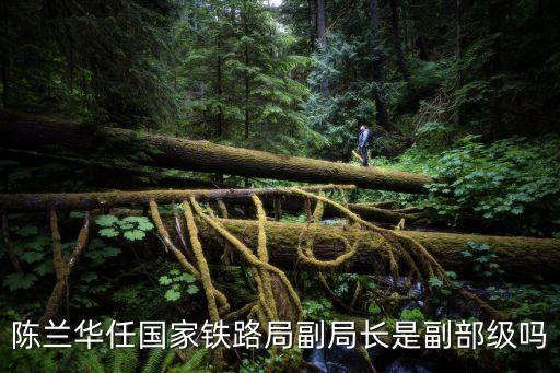 陳蘭華任國家鐵路局副局長是副部級嗎