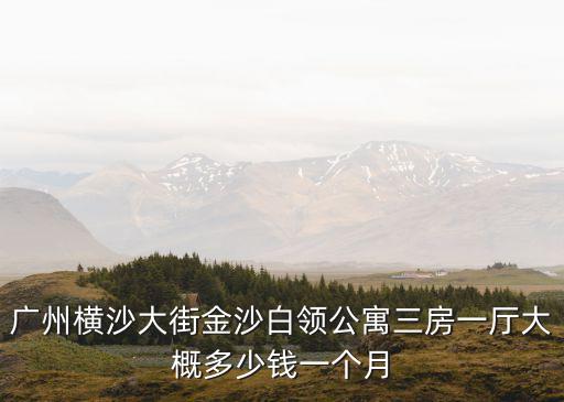 廣州橫沙大街金沙白領公寓三房一廳大概多少錢一個月