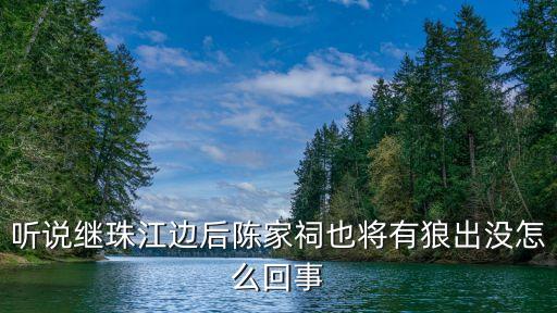 廣州陳家祠發生的事，廣東的陳家祠是干什么的是不是原來哪個大將軍的家