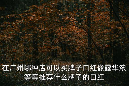 在廣州哪種店可以買牌子口紅像露華濃等等推薦什么牌子的口紅
