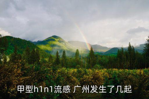 甲型h1n1流感 廣州發生了幾起