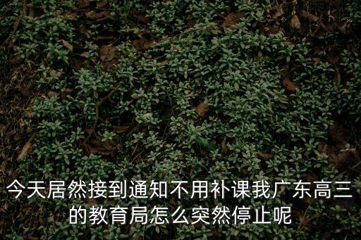 今天居然接到通知不用補課我廣東高三的教育局怎么突然停止呢