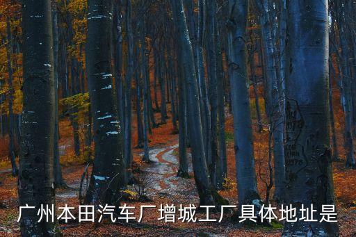 廣州增城區新塘鎮塘美工業園A1棟，福耀玻璃發展有限公司在哪兒