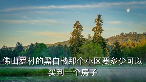 廣州獅山羅村房價，佛山羅村的黑白樓那個小區要多少可以買到一個房子