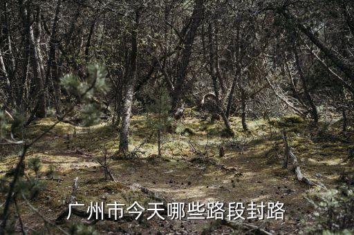廣州市最新封閉區(qū)域，廣州九月單雙號(hào)限行具體區(qū)域請(qǐng)問(wèn)花都具體那些路段受限制啊還有