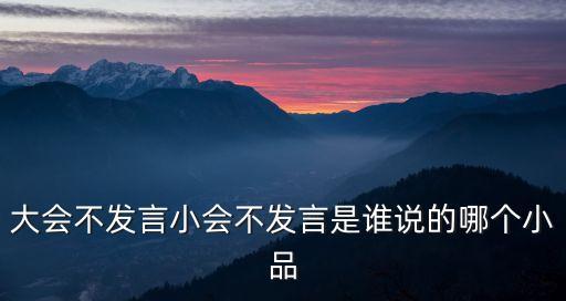 大會不發言，大會不發言小會不發言是誰說的哪個小品