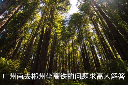 廣州南去郴州坐高鐵的問題求高人解答