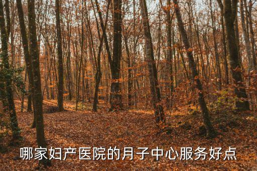 廣州愛博恩月子中心內景，廣州產科醫院愛博恩怎樣