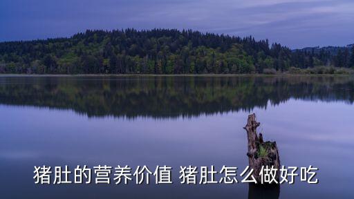 豬肚子，豬肚子是什么