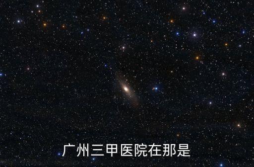 廣州智慧城三甲醫(yī)院，廣州正規(guī)的三甲醫(yī)院有哪些離南沙金洲最近的