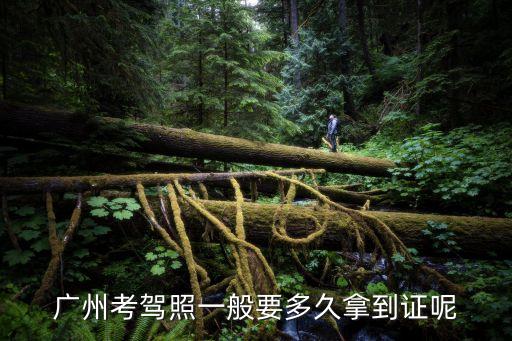 廣州駕照周期制證，廣州考駕照一般要多久拿到證呢
