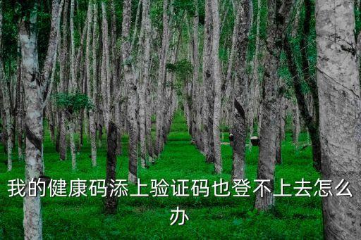 廣州健康通進不去怎么辦，網上預約健康證為什么進不去了