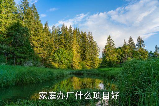 在家辦廠致富項目，在家辦廠有什么好項目