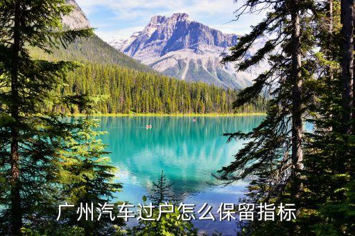 廣州汽車過(guò)戶怎么保留指標(biāo)