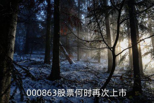 000863股票何時再次上市