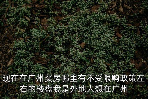 外地人在廣州買房哪里不限購，現(xiàn)在廣州的限購令覆蓋哪些地區(qū)