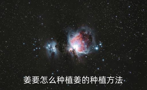生姜的種植方法，怎么種植姜