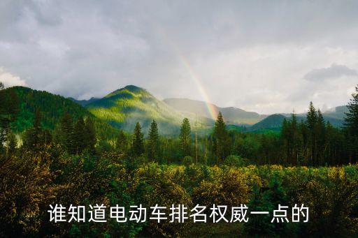 誰知道電動車排名權(quán)威一點的