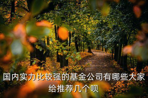 國(guó)內(nèi)實(shí)力比較強(qiáng)的基金公司有哪些大家給推薦幾個(gè)唄