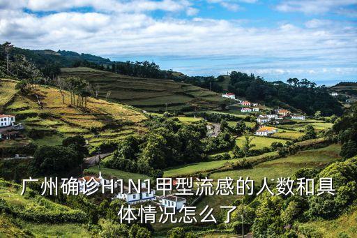 廣州確診 詳情，甲型h1n1流感 廣州發生了幾起