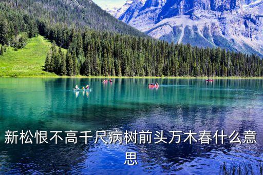 新松恨不高千尺，新松恨不高千尺下一句