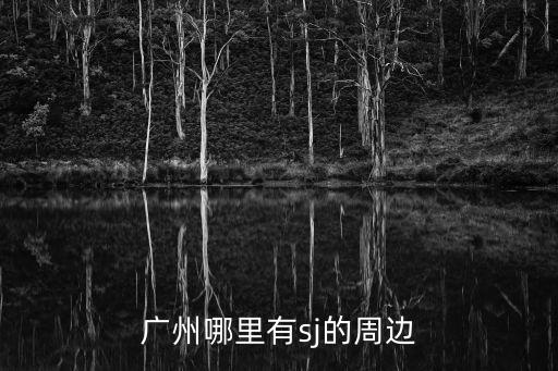廣州哪里有sj的周邊