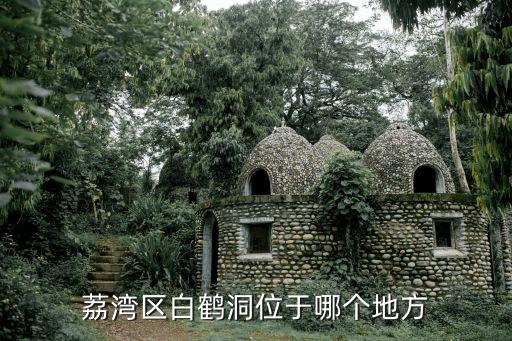 火神山部隊進駐廣州白鶴洞，問路廣州交通
