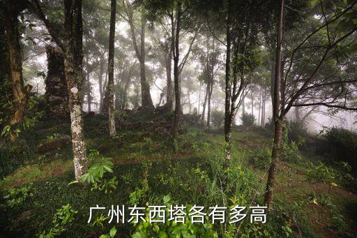 廣州塔不同米數，廣州塔高600米而廣州東塔才530為什么東塔還比廣州塔還要高
