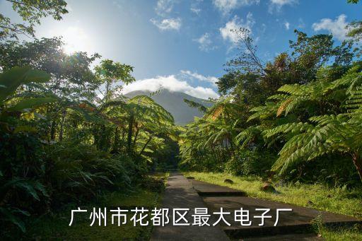 廣州北興電子廠，廣州市花都區花東鎮北興那里附近有什么好工作介紹的