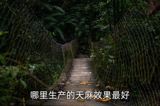 天麻產地，天麻具體的產地在哪里