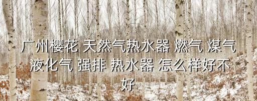 廣州櫻花線下款，廣州櫻花燃氣灶 JZY2A80價格是多少